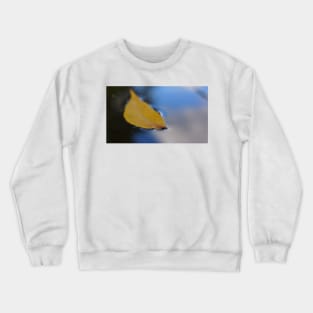 Yellow Leaf Floating on Water Crewneck Sweatshirt